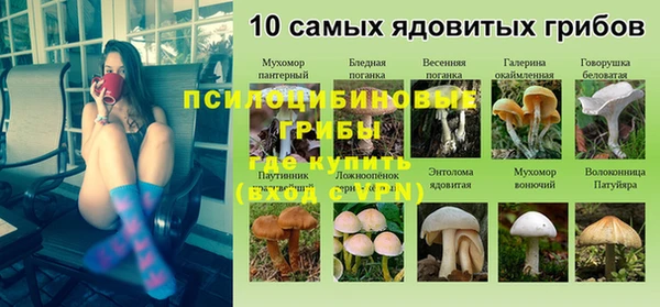 круглые Абаза