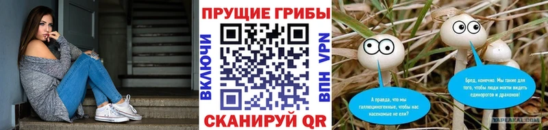 Галлюциногенные грибы прущие грибы  что такое наркотик  Бронницы 